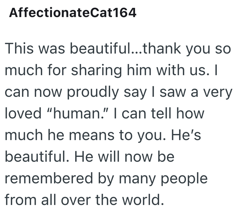 AffectionateCat164 This was beautiful...thank you so much for sharing him with us. I can now proudly say I saw a very loved "human." I can tell how much he means to you. He's beautiful. He will now be remembered by many people from all over the world.