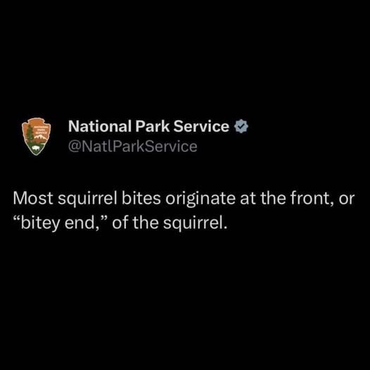 National Park Service⭑> @NatlParkService Most squirrel bites originate at the front, or "bitey end," of the squirrel.