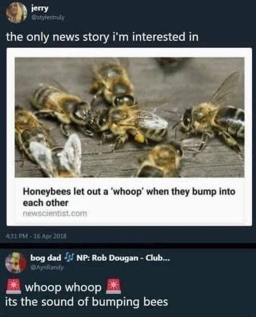 jerry @stylestruly the only news story i'm interested in Honeybees let out a 'whoop' when they bump into each other newscientist.com 4:31 PM - 16 Apr 2018 bog dad JJ NP: Rob Dougan - Club... @AynRandy whoop whoop its the sound of bumping bees