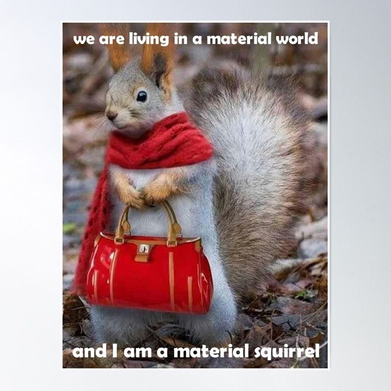 we are living in a material world and I am a material squirrel