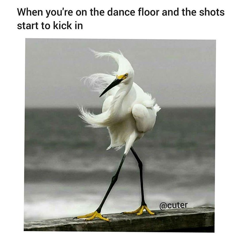 When you're on the dance floor and the shots start to kick in @cuter