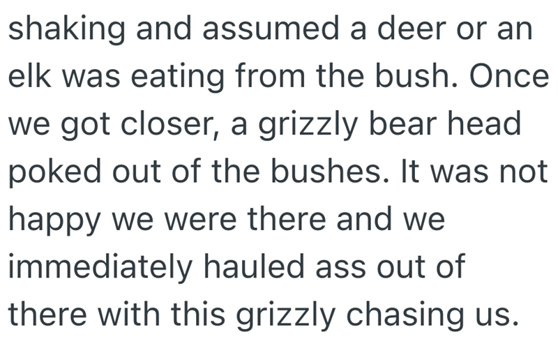 shaking and assumed a deer or an elk was eating from the bush. Once we got closer, a grizzly bear head poked out of the bushes. It was not happy we were there and we immediately hauled ass out of there with this grizzly chasing us.