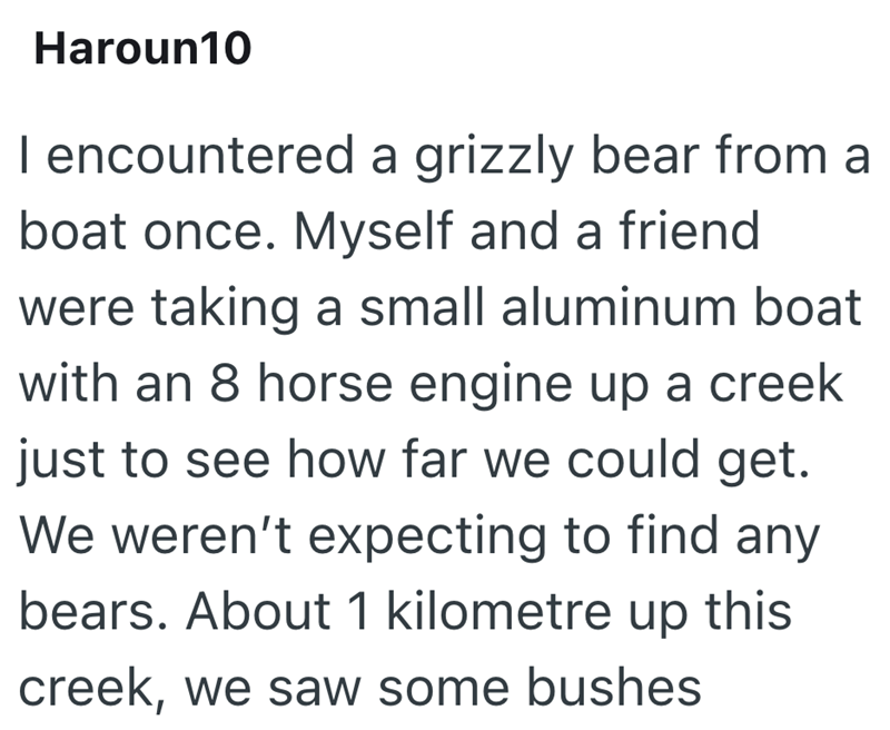 Haroun 10 I encountered a grizzly bear from a boat once. Myself and a friend were taking a small aluminum boat with an 8 horse engine up a creek just to see how far we could get. We weren't expecting to find any bears. About 1 kilometre up this creek, we saw some bushes