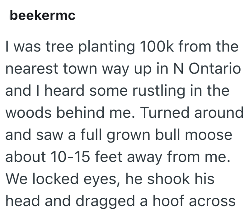 beekermc I was tree planting 100k from the nearest town way up in N Ontario and I heard some rustling in the woods behind me. Turned around and saw a full grown bull moose about 10-15 feet away from me. We locked eyes, he shook his head and dragged a hoof across