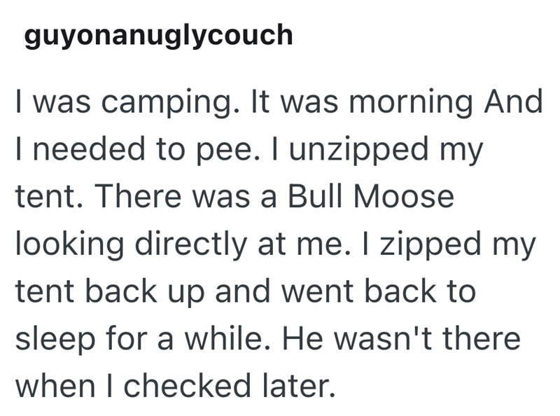 guyonanuglycouch I was camping. It was morning And I needed to pee. I unzipped my tent. There was a Bull Moose looking directly at me. I zipped my tent back up and went back to sleep for a while. He wasn't there when I checked later.