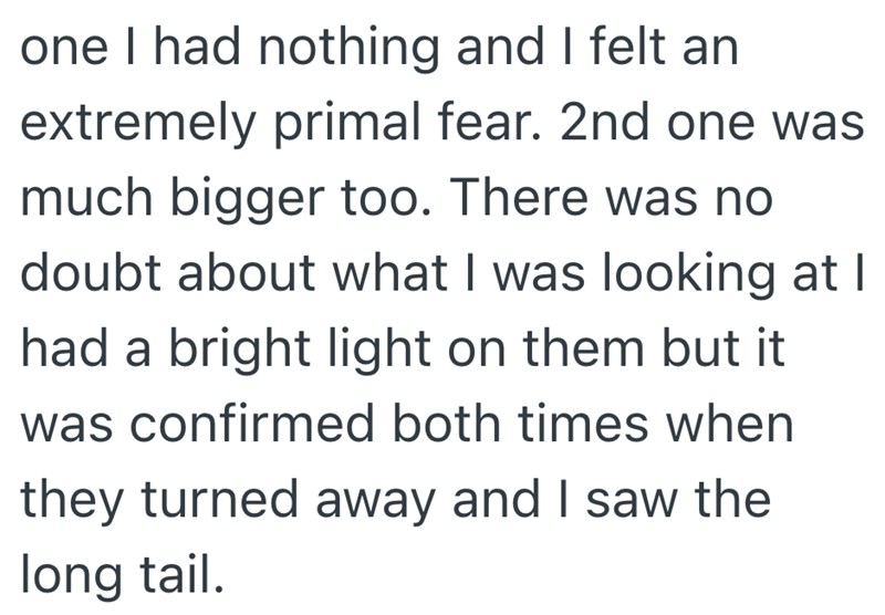 one I had nothing and I felt an extremely primal fear. 2nd one was much bigger too. There was no doubt about what I was looking at I had a bright light on them but it was confirmed both times when they turned away and I saw the long tail.