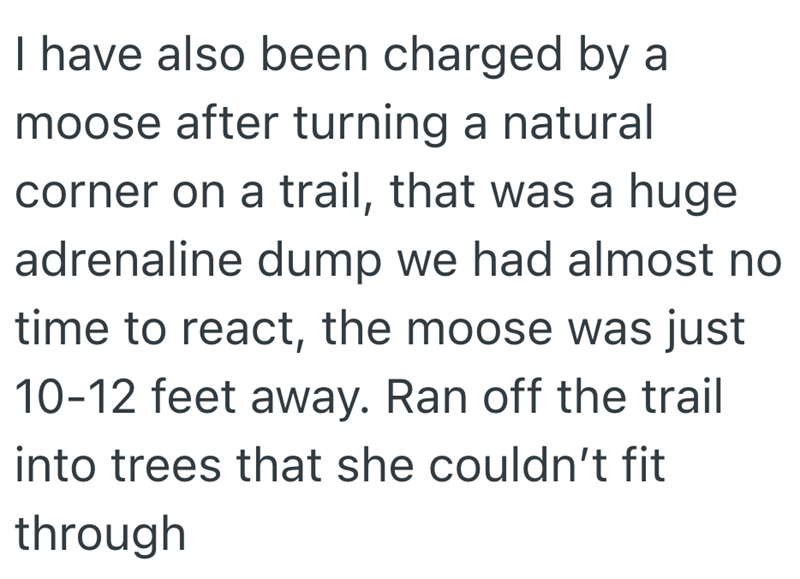 I have also been charged by a moose after turning a natural corner on a trail, that was a huge adrenaline dump we had almost no time to react, the moose was just 10-12 feet away. Ran off the trail into trees that she couldn't fit through