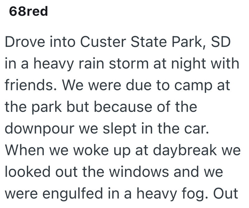 68red Drove into Custer State Park, SD in a heavy rain storm at night with friends. We were due to camp at the park but because of the downpour we slept in the car. When we woke up at daybreak we looked out the windows and we were engulfed in a heavy fog. Out