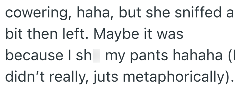 cowering, haha, but she sniffed a bit then left. Maybe it was because I sh my pants hahaha (I didn't really, juts metaphorically).