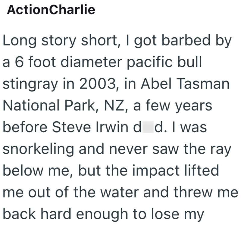 ActionCharlie Long story short, I got barbed by a 6 foot diameter pacific bull stingray in 2003, in Abel Tasman National Park, NZ, a few years before Steve Irwin d d. I was snorkeling and never saw the ray below me, but the impact lifted me out of the water and threw me back hard enough to lose my