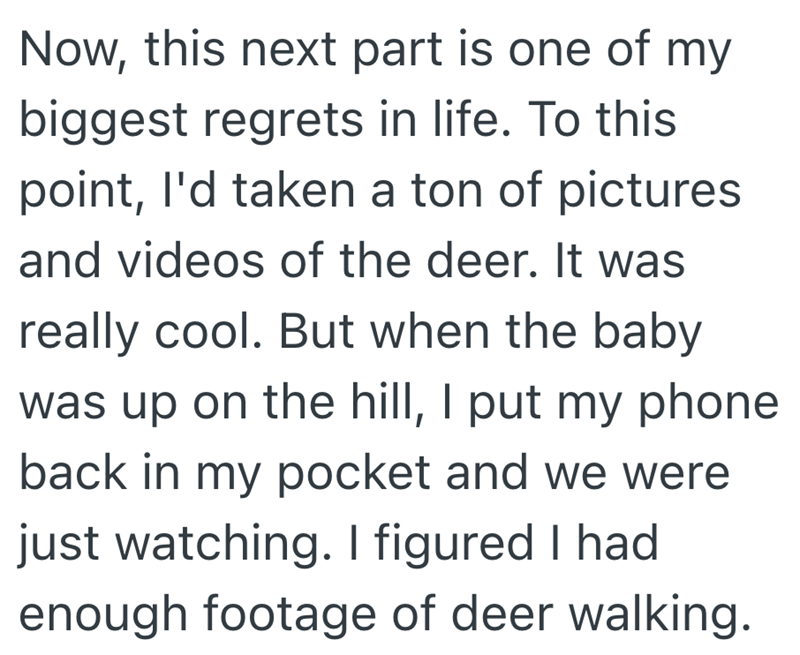 Now, this next part is one of my biggest regrets in life. To this point, I'd taken a ton of pictures and videos of the deer. It was really cool. But when the baby was up on the hill, I put my phone back in my pocket and we were just watching. I figured I had enough footage of deer walking.