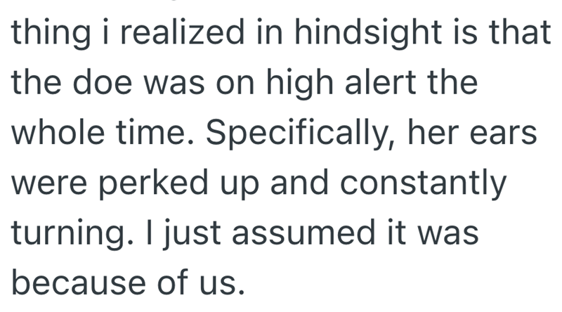 thing i realized in hindsight is that the doe was on high alert the whole time. Specifically, her ears were perked up and constantly turning. I just assumed it was because of us.