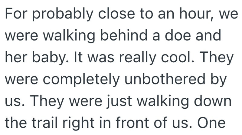 For probably close to an hour, we were walking behind a doe and her baby. It was really cool. They were completely unbothered by us. They were just walking down the trail right in front of us. One