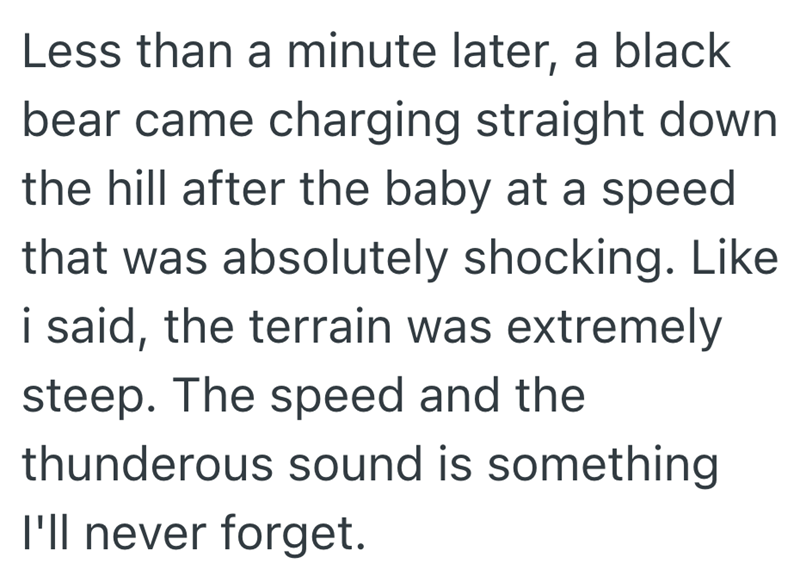 Less than a minute later, a black bear came charging straight down the hill after the baby at a speed that was absolutely shocking. Like i said, the terrain was extremely steep. The speed and the thunderous sound is something I'll never forget.