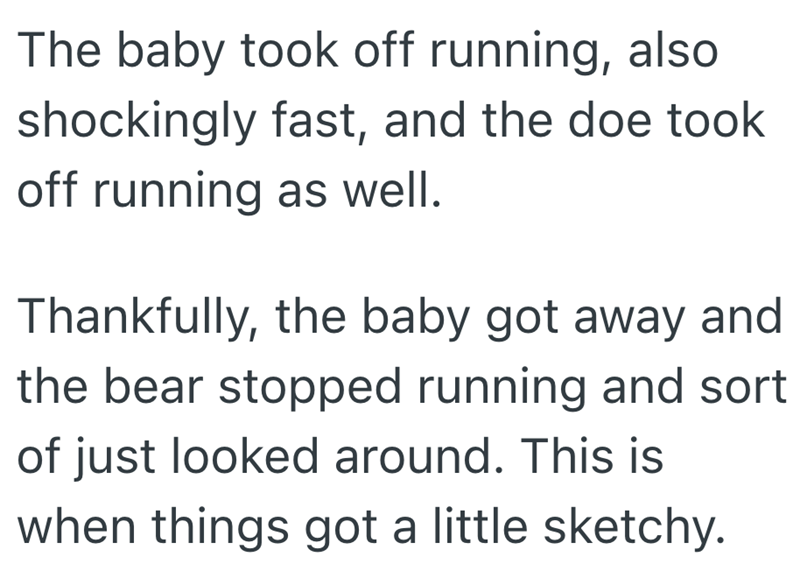 The baby took off running, also shockingly fast, and the doe took off running as well. Thankfully, the baby got away and the bear stopped running and sort of just looked around. This is when things got a little sketchy.