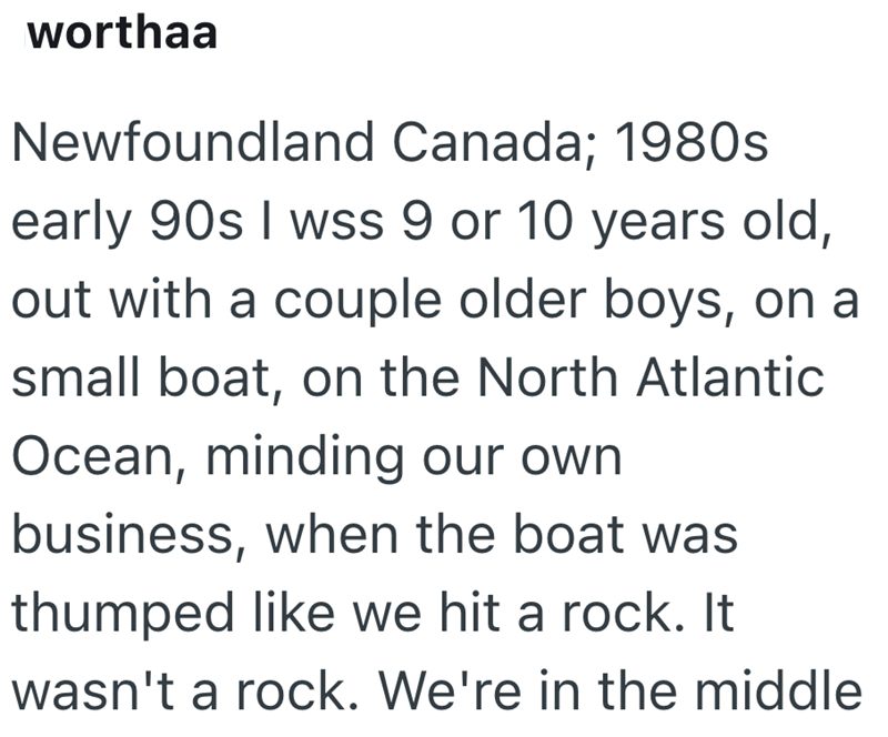 worthaa Newfoundland Canada; 1980s early 90s I wss 9 or 10 years old, out with a couple older boys, on a small boat, on the North Atlantic Ocean, minding our own business, when the boat was thumped like we hit a rock. It wasn't a rock. We're in the middle