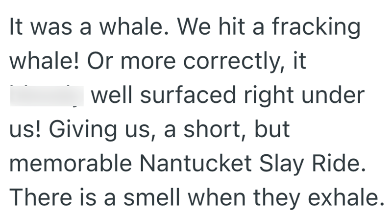 It was a whale. We hit a fracking whale! Or more correctly, it well surfaced right under us! Giving us, a short, but memorable Nantucket Slay Ride. There is a smell when they exhale.