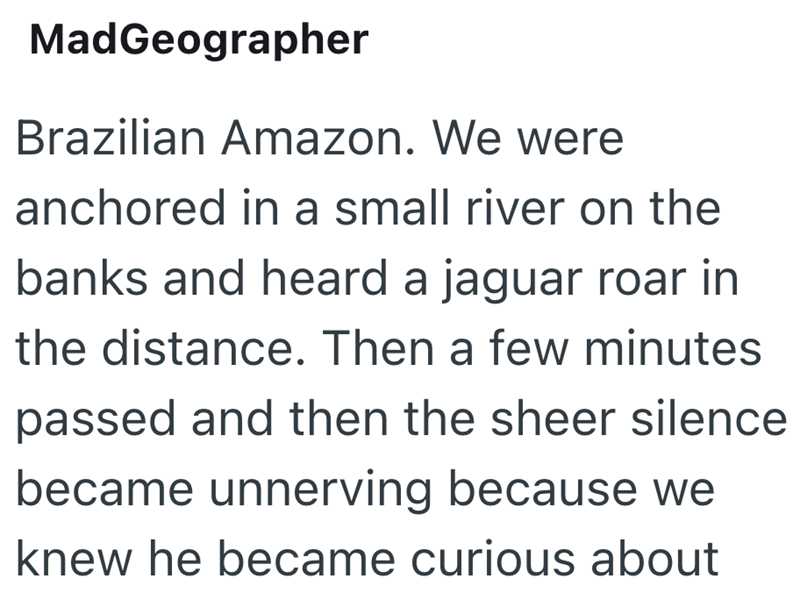 MadGeographer Brazilian Amazon. We were anchored in a small river on the banks and heard a jaguar roar in the distance. Then a few minutes passed and then the sheer silence became unnerving because we knew he became curious about