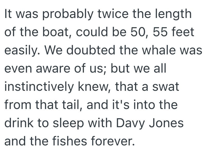 It was probably twice the length of the boat, could be 50, 55 feet easily. We doubted the whale was even aware of us; but we all instinctively knew, that a swat from that tail, and it's into the drink to sleep with Davy Jones and the fishes forever.