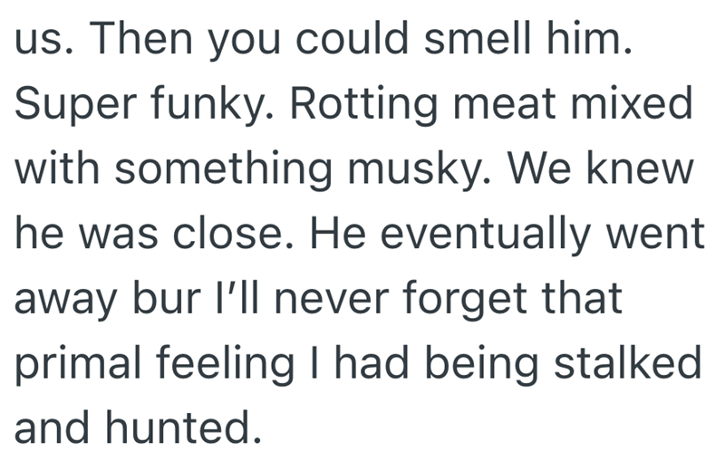 us. Then you could smell him. Super funky. Rotting meat mixed with something musky. We knew he was close. He eventually went away bur I'll never forget that primal feeling I had being stalked and hunted.