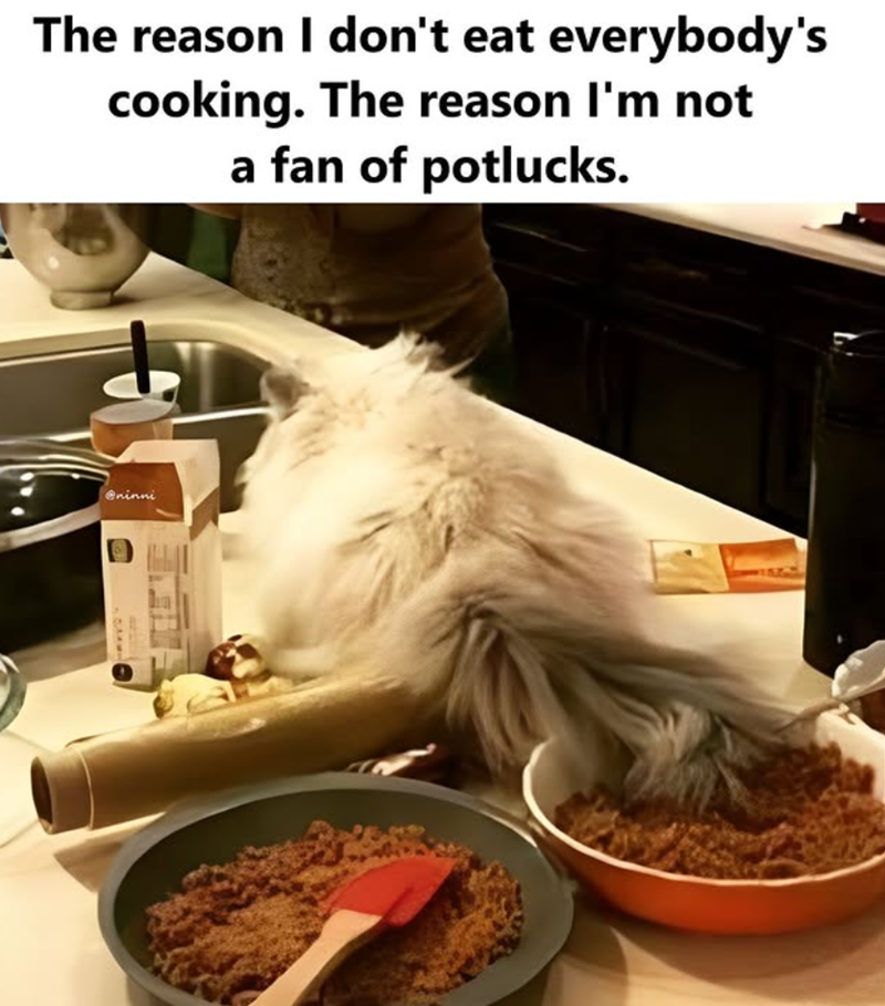 The reason I don't eat everybody's cooking. The reason I'm not a fan of potlucks. @ninni