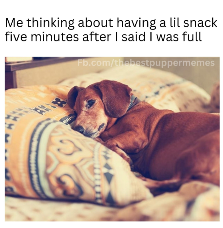 Me thinking about having a lil snack five minutes after I said I was full AV Fb.com/thebestpuppermemes H r