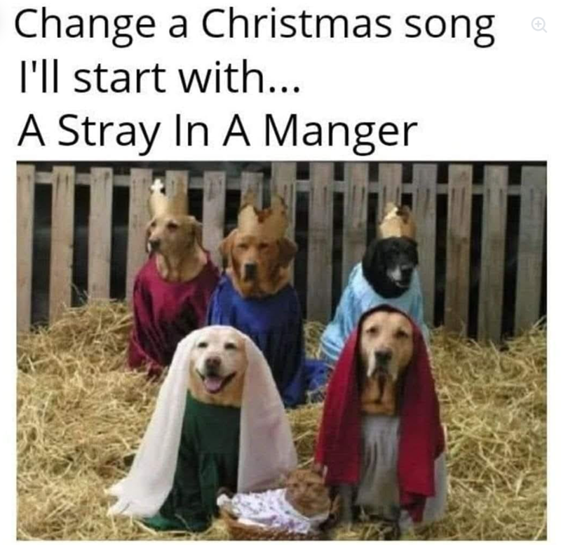 Change a Christmas song I'll start with... A Stray In A Manger
