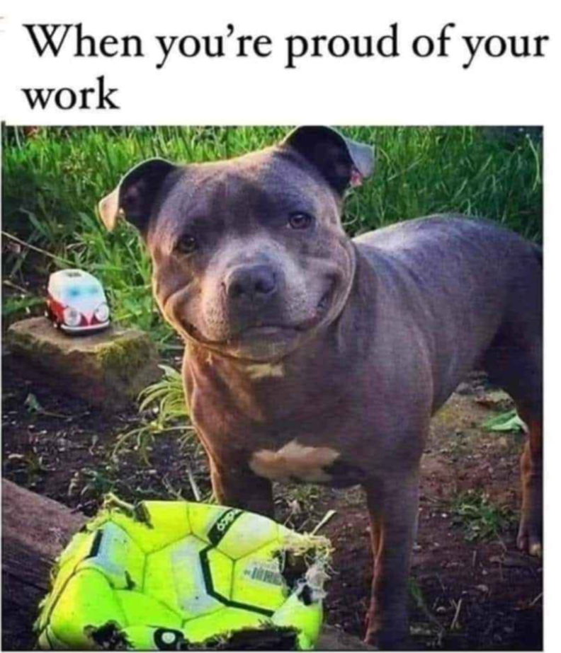 When you're proud of your work dico