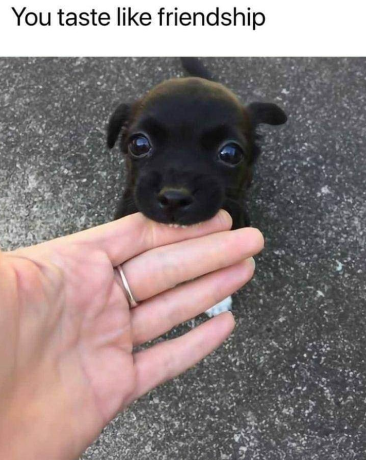 You taste like friendship