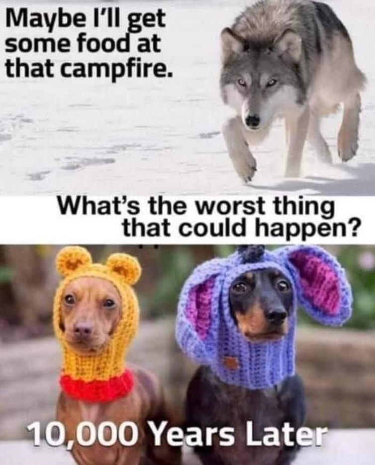 Maybe I'll get some food at that campfire. What's the worst thing that could happen? 10,000 Years Later