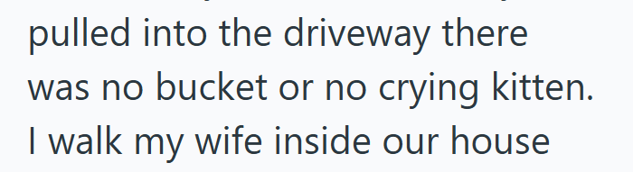 pulled into the driveway there was no bucket or no crying kitten. I walk my wife inside our house