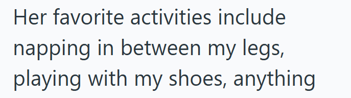 Her favorite activities include napping in between my legs, playing with my shoes, anything