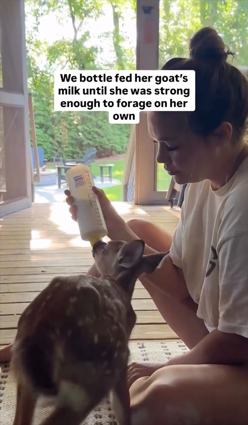 We bottle fed her goat's milk until she was strong enough to forage on her own