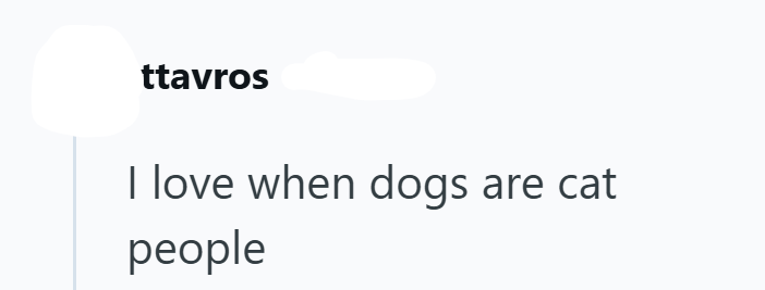 ttavros I love when dogs are cat people