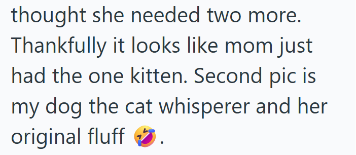 thought she needed two more. Thankfully it looks like mom just had the one kitten. Second pic is my dog the cat whisperer and her original fluff.