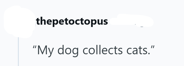 thepetoctopus "My dog collects cats."