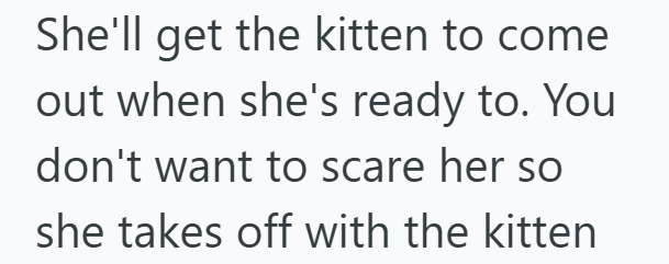 She'll get the kitten to come out when she's ready to. You don't want to scare her so she takes off with the kitten