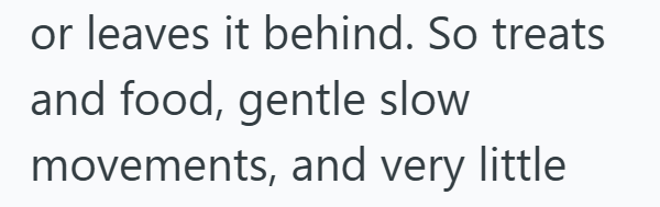 or leaves it behind. So treats and food, gentle slow movements, and very little