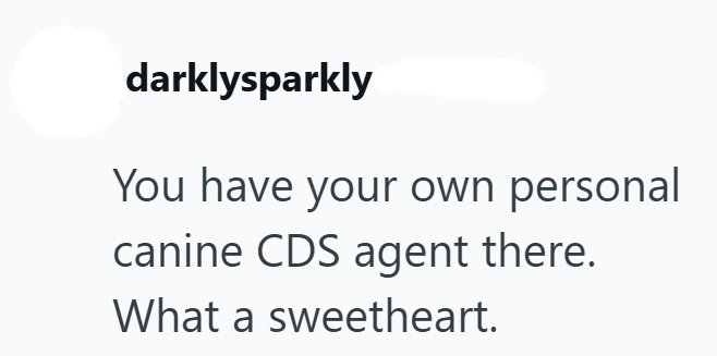 darklysparkly You have your own personal canine CDS agent there. What a sweetheart.