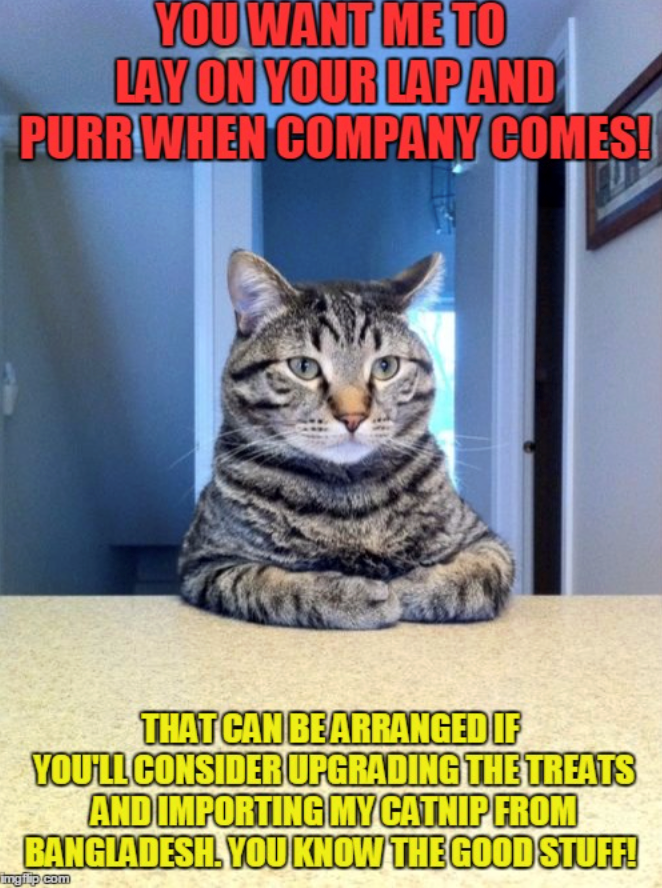 YOU WANT ME TO LAY ON YOUR LAP AND PURR WHEN COMPANY COMES! THAT CAN BE ARRANGED IF YOU'LL CONSIDER UPGRADING THE TREATS AND IMPORTING MY CATNIP FROM BANGLADESH. YOU KNOW THE GOOD STUFF! ingilip.com