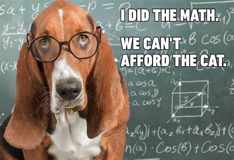 Satys. y-Yo Yi-y (X-X I DID THE MATH.) +6=C WE CAN'T 6 Cos (a в AFFORD THE CAT. B)=(a+b)+C, a cosa a cos B a cosy ap ax zby) + (az bet axbzit ( n(a) Cos(6)+Cose