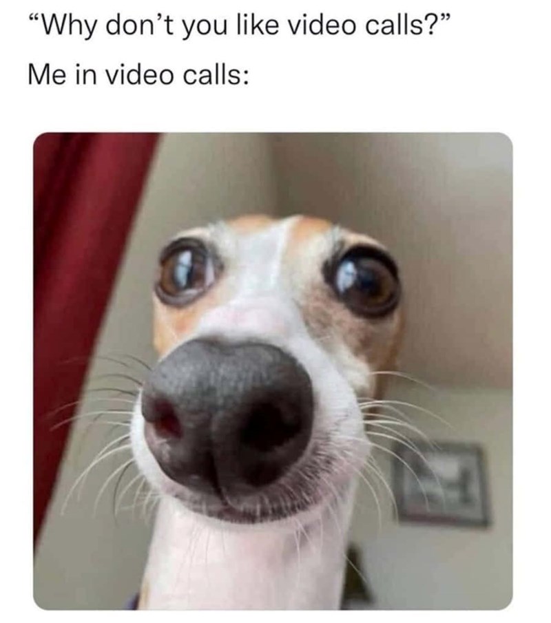 "Why don't you like video calls?" Me in video calls: