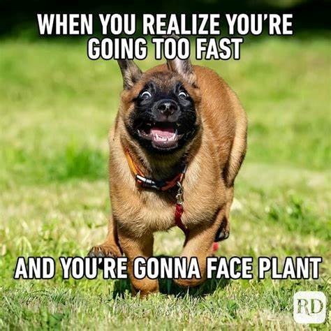 WHEN YOU REALIZE YOU'RE GOING TOO FAST AND YOU'RE GONNA FACE PLANT RD