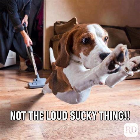 NOT THE LOUD SUCKY THING!! RD