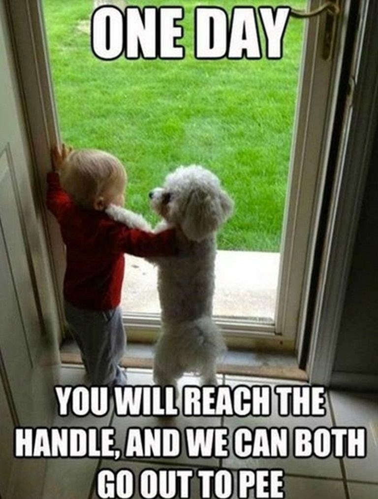 ONE DAY YOU WILL REACH THE HANDLE, AND WE CAN BOTH GO OUT TO PEE