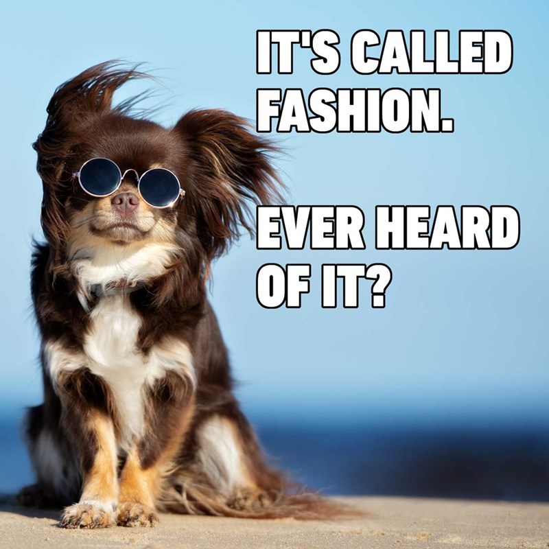IT'S CALLED FASHION. EVER HEARD OF IT?