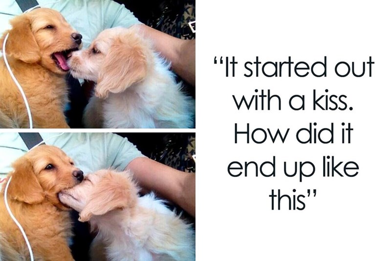 "It started out with a kiss. How did it end up like this"