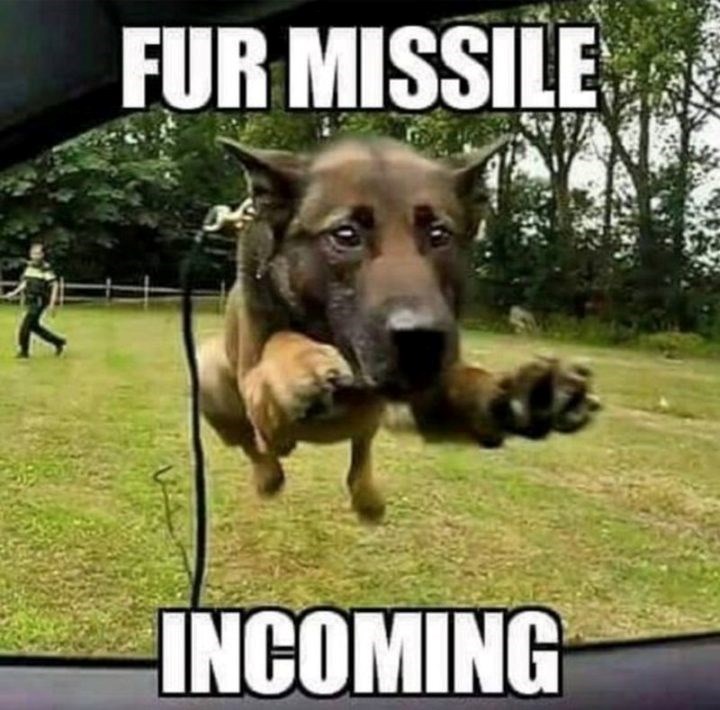 FUR MISSILE INCOMING