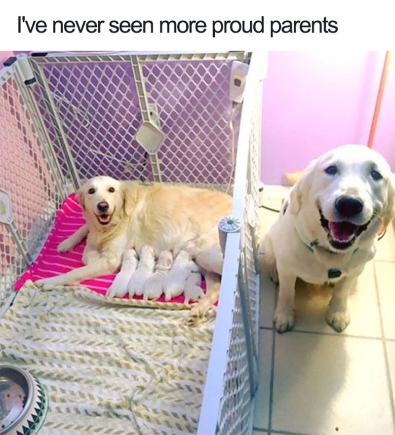 I've never seen more proud parents