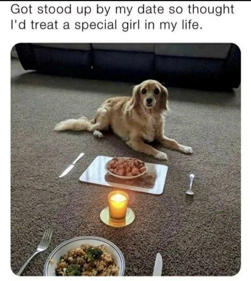 Got stood up by my date so thought I'd treat a special girl in my life.